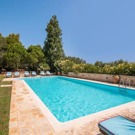 Verdi - Your Family Oasis!